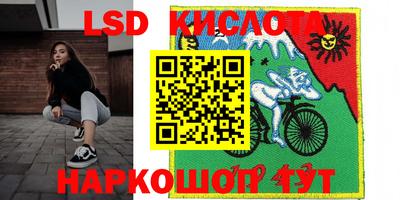 стаф Краснодар
