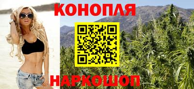 стаф Краснодар