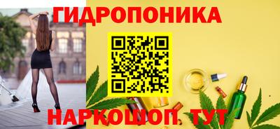 стаф Краснодар