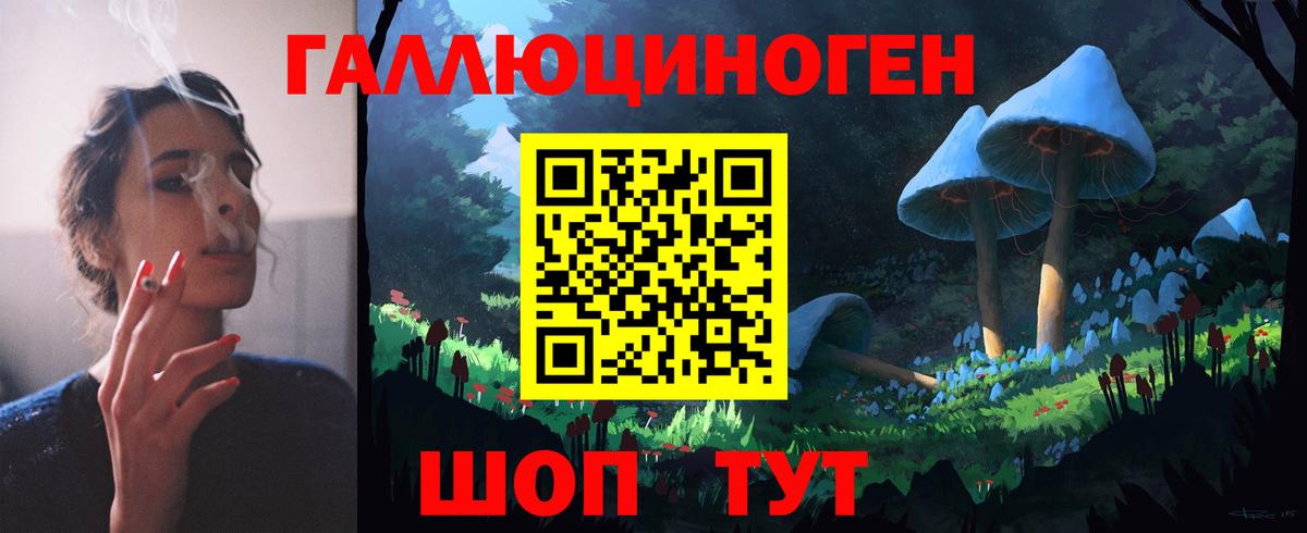 Псилоцибиновые грибы Psilocybine cubensis Йошкар-Ола